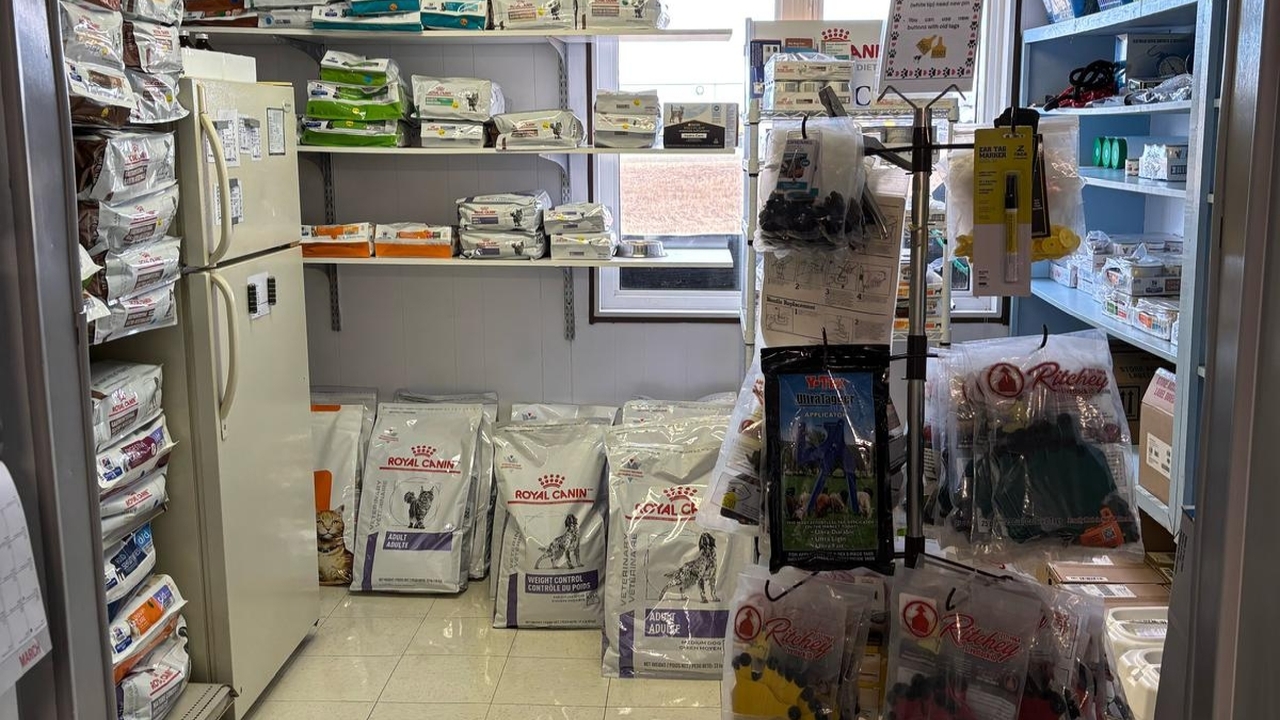 Pet Toys, Food, Treats